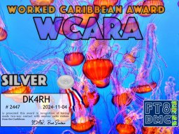 dk4rh-wcara-silver_ft8dmc